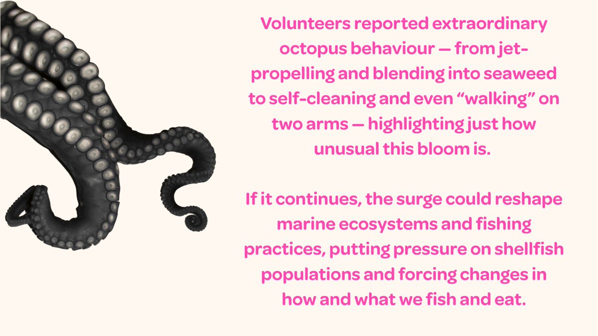 Guerilla Science tweet media