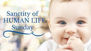 4UltraSound's tweet image. Today is Sanctity of Human Life Sunday

Today we honor the sanctity of human life at all stages and the importance of its protection.