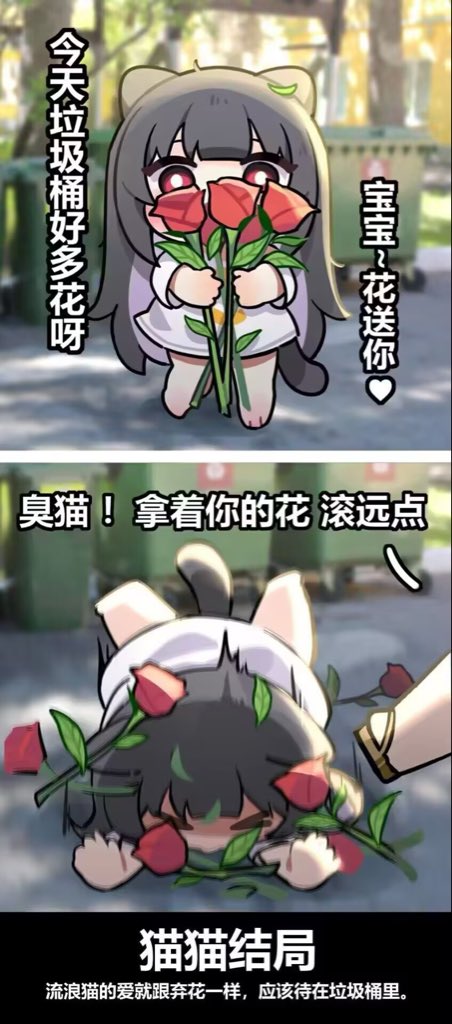 猫猫 🍥 tweet media