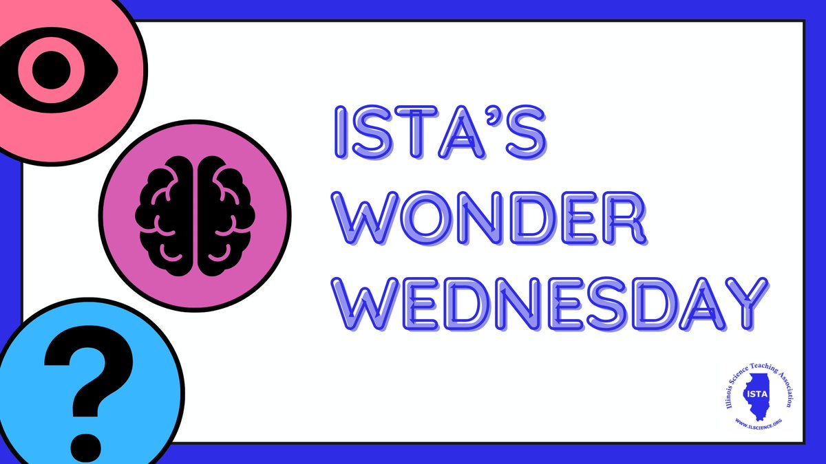 ILSciTeaching's tweet photo. 🤔 Wonder Wednesday!
What’s ONE thing you want students to do MORE of in science this year?

Comment your one thing below and join the conversation!

#ISTA #IllinoisScience #ILScienceTeachers #ScienceEducation #ScienceTeachers #ILScience https://t.co/xWL7qxHpTf