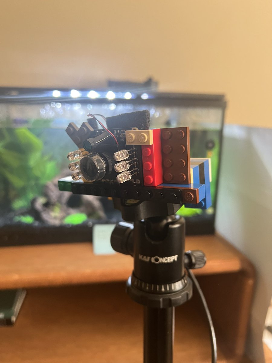 BettaProtocol's tweet image. Holy aura