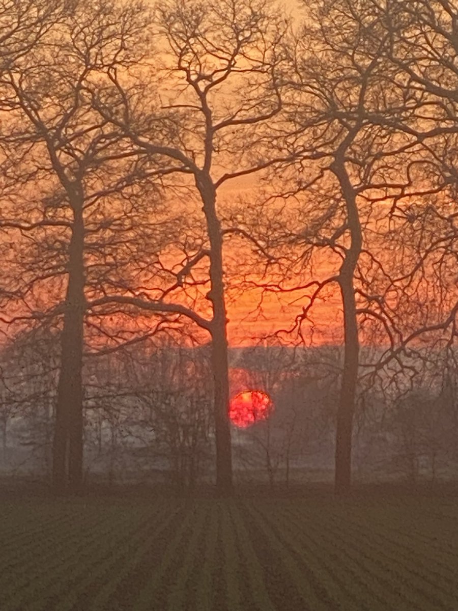 graangeluk's tweet photo. Nothing to add, #Hemmen, #betuwe
@DeLingehof https://t.co/960ACj4tPF