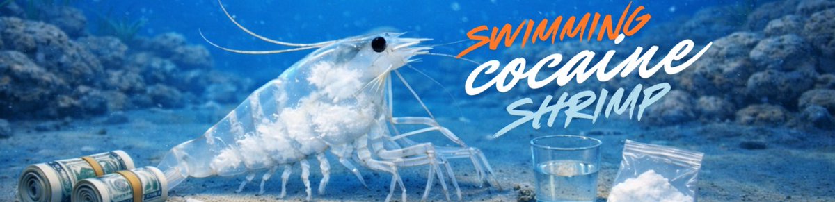 A community member <a href="/SCocaineShrimp/">Swimming Cocaine Shrimp</a> just added a banner image for $SCS on MobyScreener 🖼️