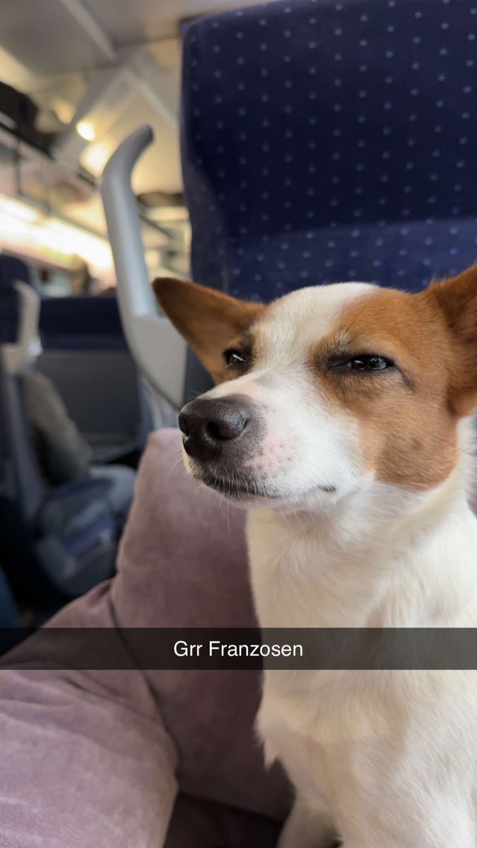 Toni 🪴 tweet media