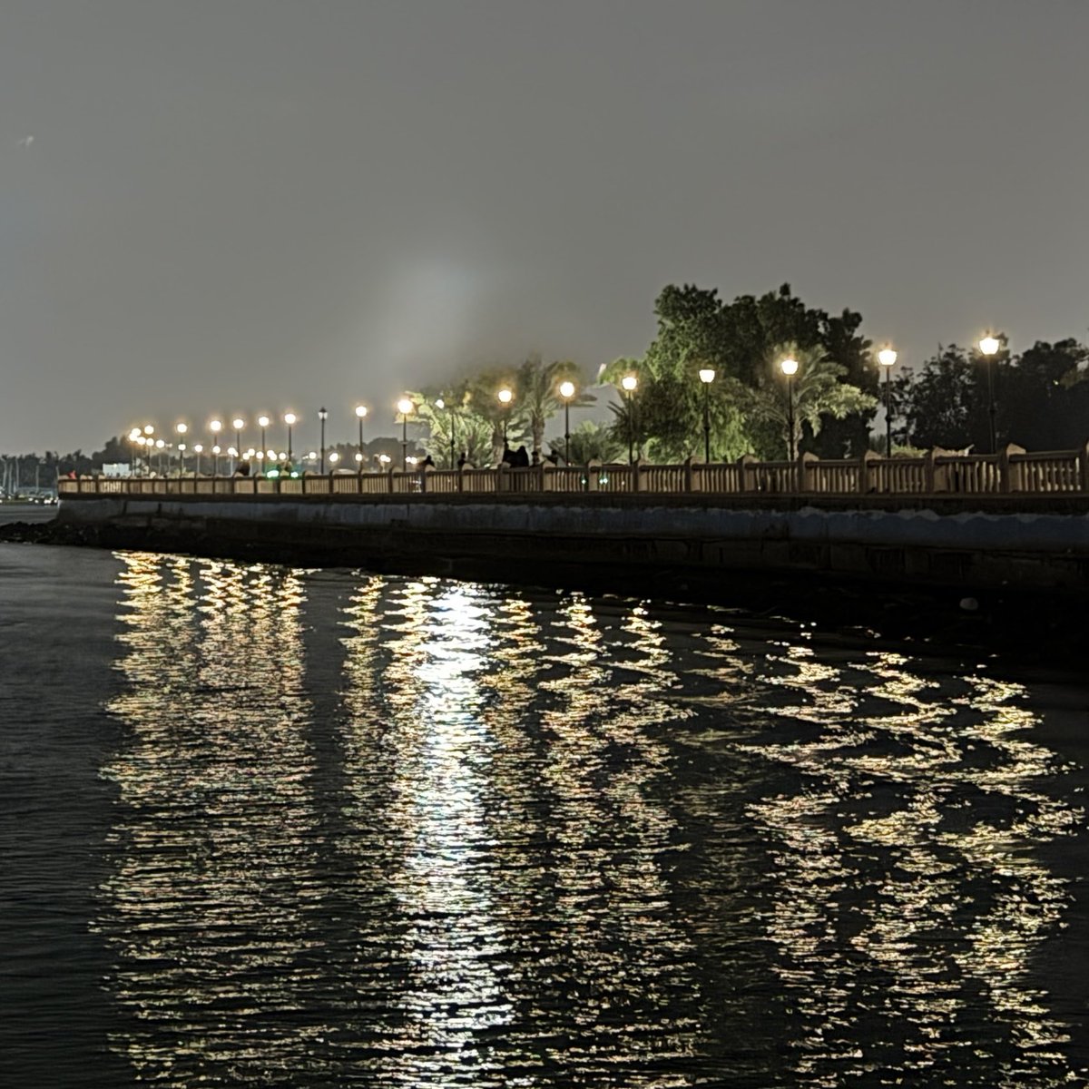 𝙱𝚊𝚝𝚘𝚘𝚕. tweet media