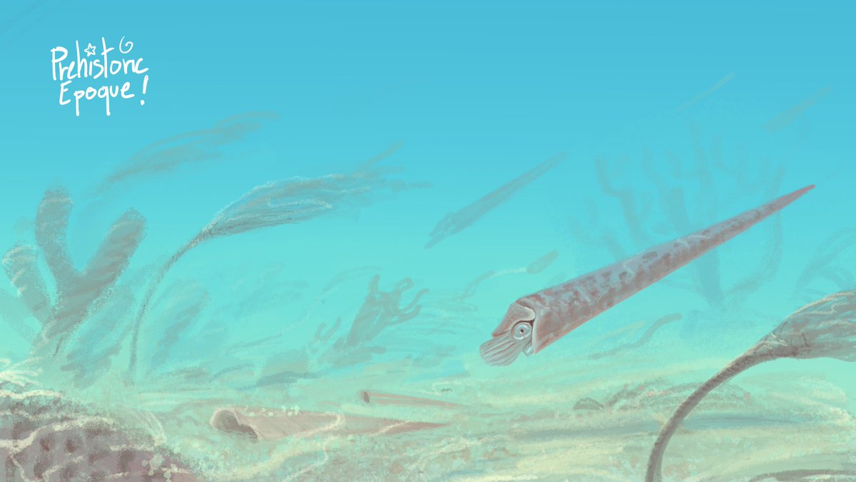 Capi - Pickpock tweet media