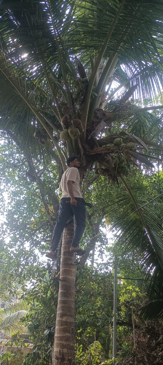 BD_Bitunix_'s tweet photo. I just hit the resistance. ATH soon

Life without a 'Thenga' is hard for every Mallu @proofofmallu https://t.co/UmblbN8CSK