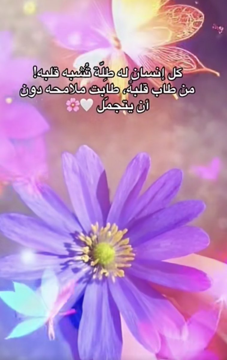 مساءكم سعيد 🤍🌷