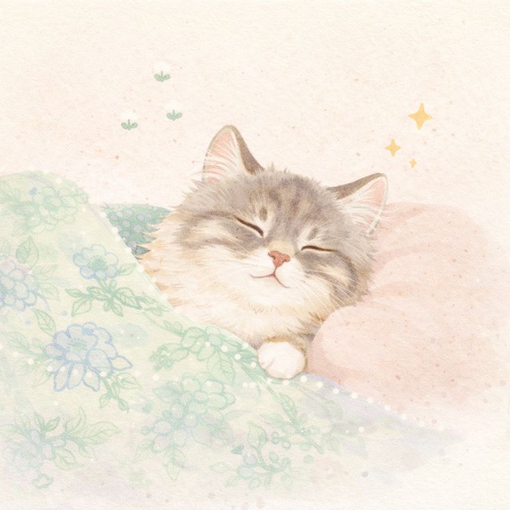 Solithra's tweet image. Good Night