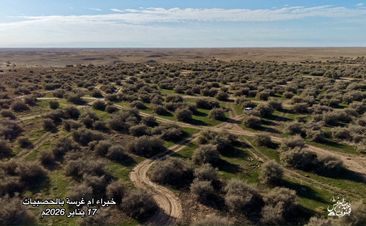 #ثريد 
أخبار ربيع #الصمان

28 رجب 1447هـ
18 يناير 2026م

بداية ربيع #الصمان الجميل 
 رغم تاخر الوسم هذي السنه وقلة الامطار الا الصمان في بعض خباريه بدا ظهور الربيع فيه

🔺البداية 
طلب تصريح عبر الموقع وكل يوم له تصريح لوحده وتطلبها بنفس اللحظه عادي 
من موقع