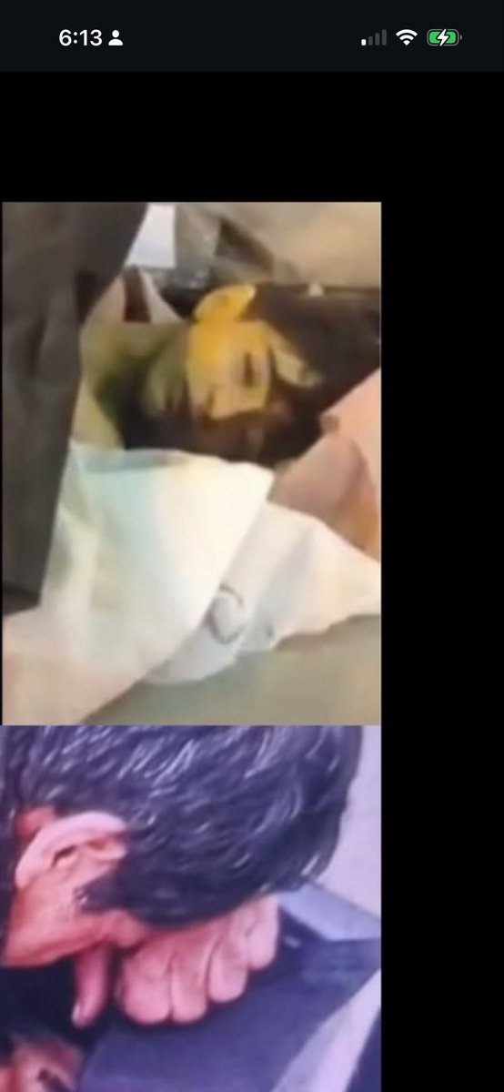 WithoutNoosh's tweet image. The IRGC and the Islamic Republic are killing their own people.
They are so terrified of losing control that they even target children—even a three-year-old girl. This is darkness clinging to power, but darkness does not last.
Light always returns. Everyone responsible will face…