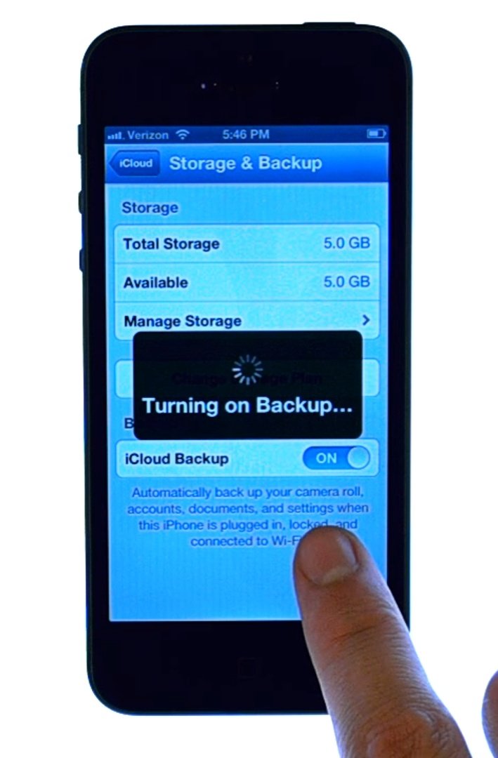 Noah Cat tweet media