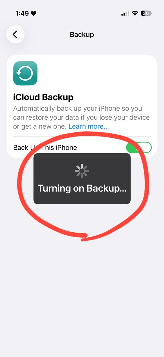 Noah Cat tweet media