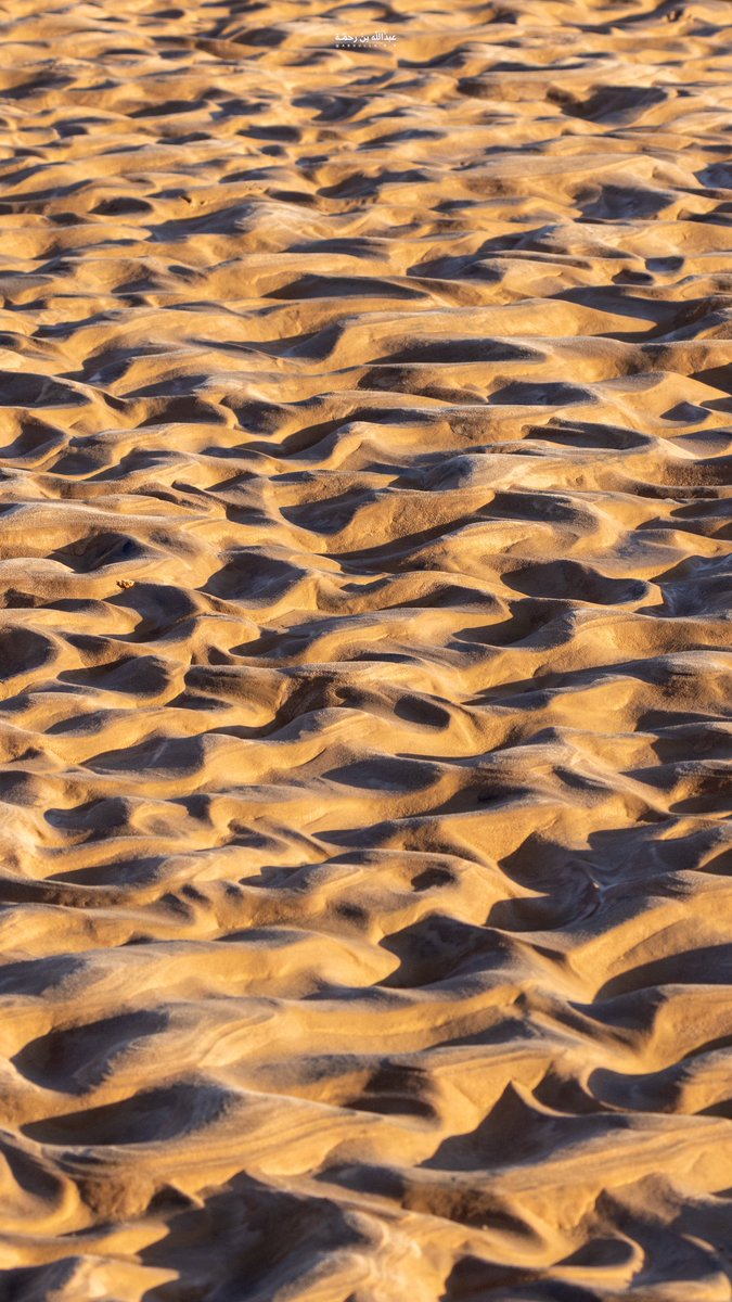 عبدالله بن رحمة tweet media