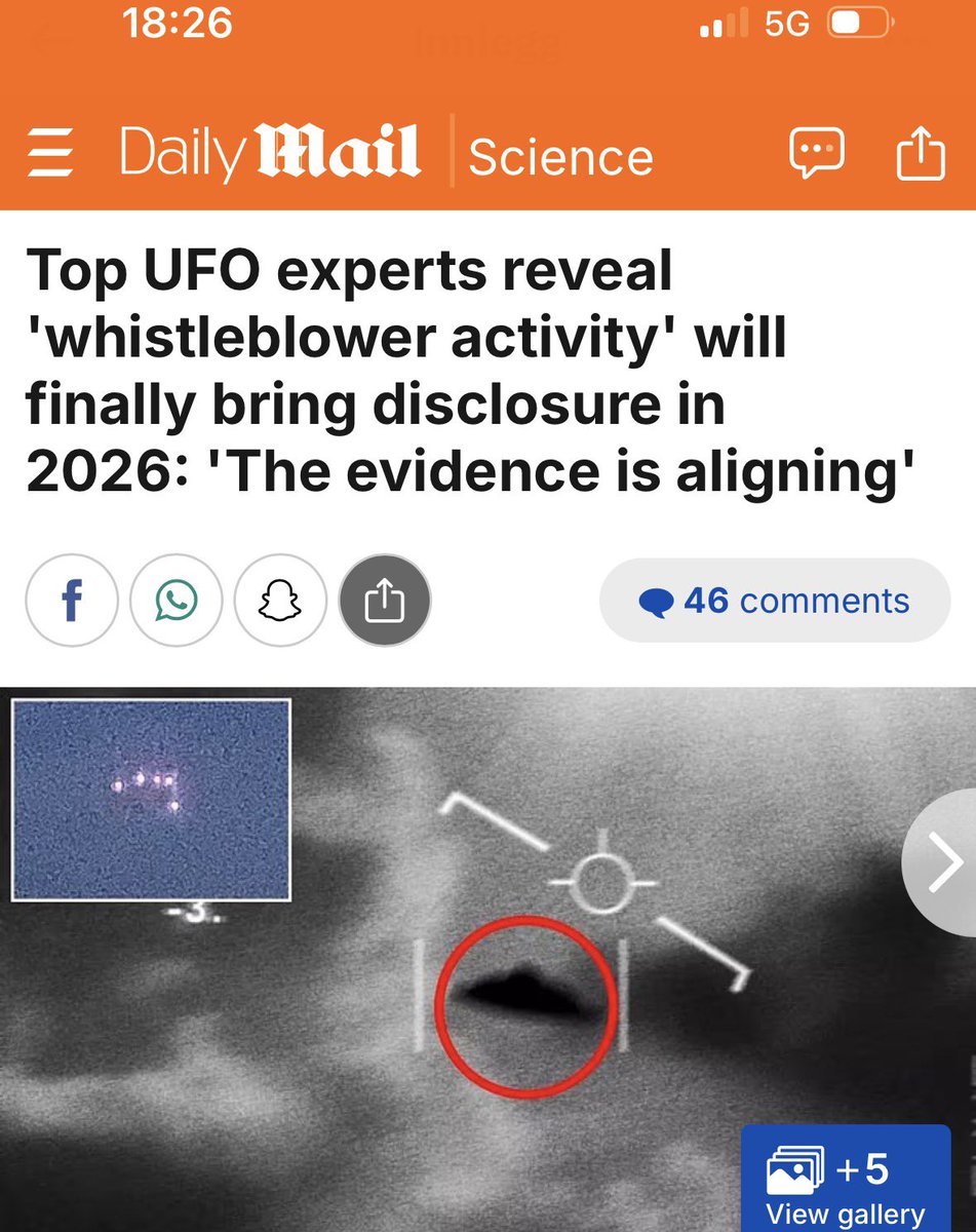 Renate🇳🇴 tweet media