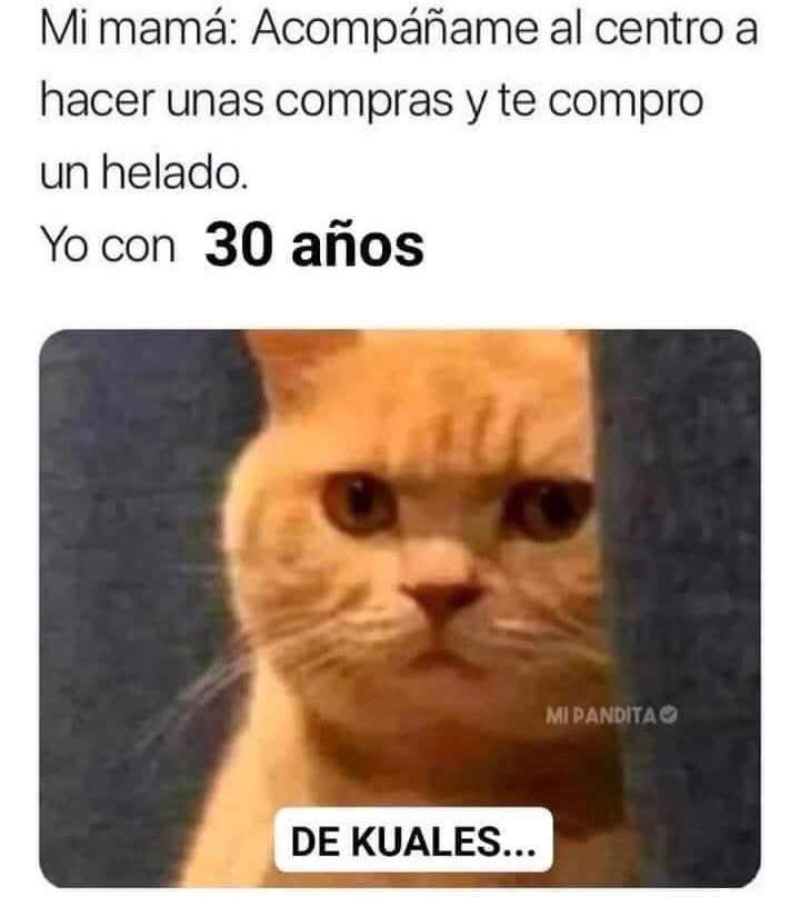 MemesSV7's tweet image. 