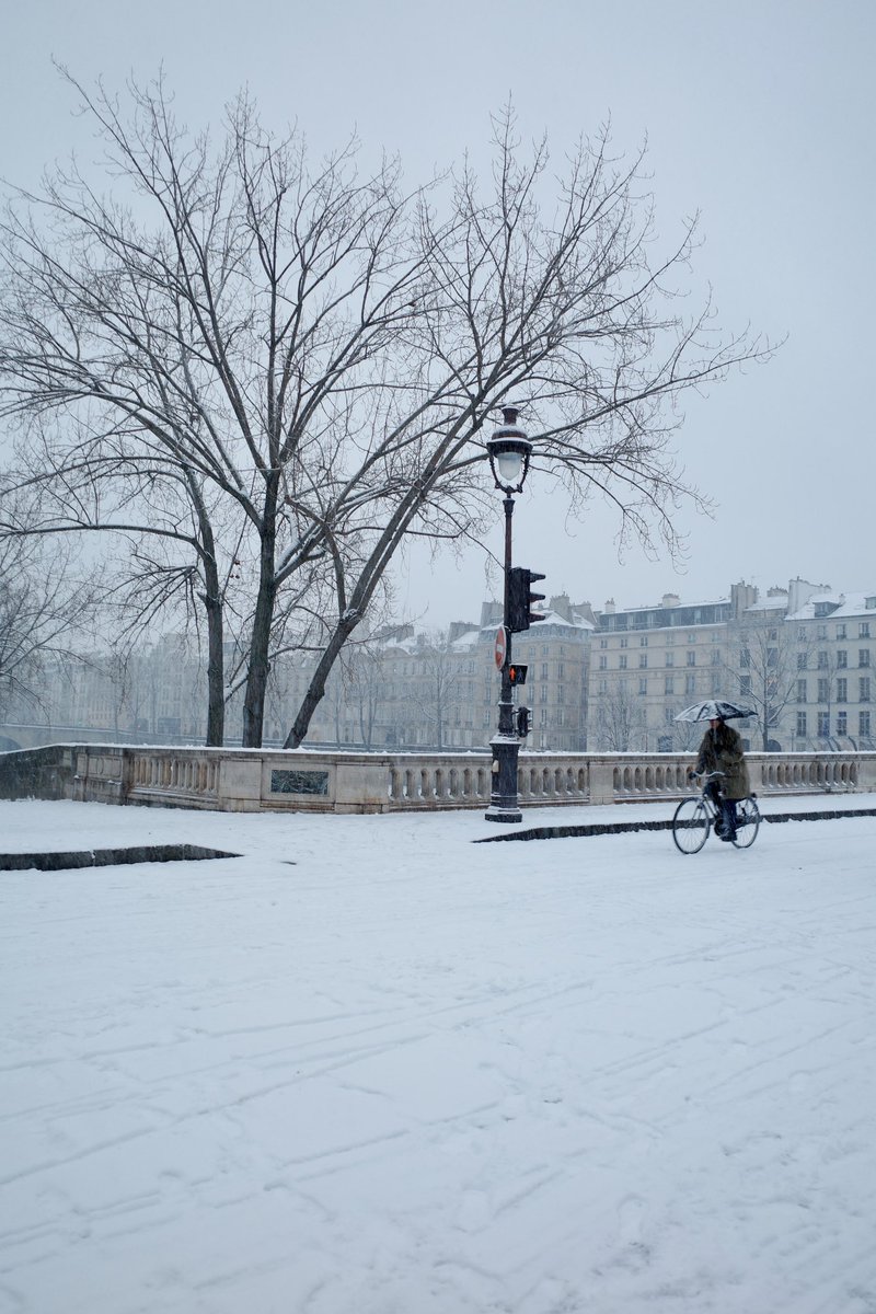 Diego Pulido tweet media