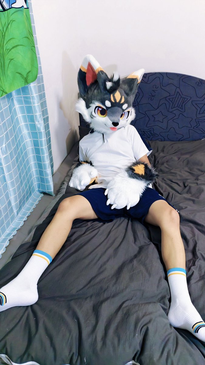 已经乖乖的等好啦～
袜子是<a href="/Longyao1118/">龙耀工坊</a>
#白袜 #furry