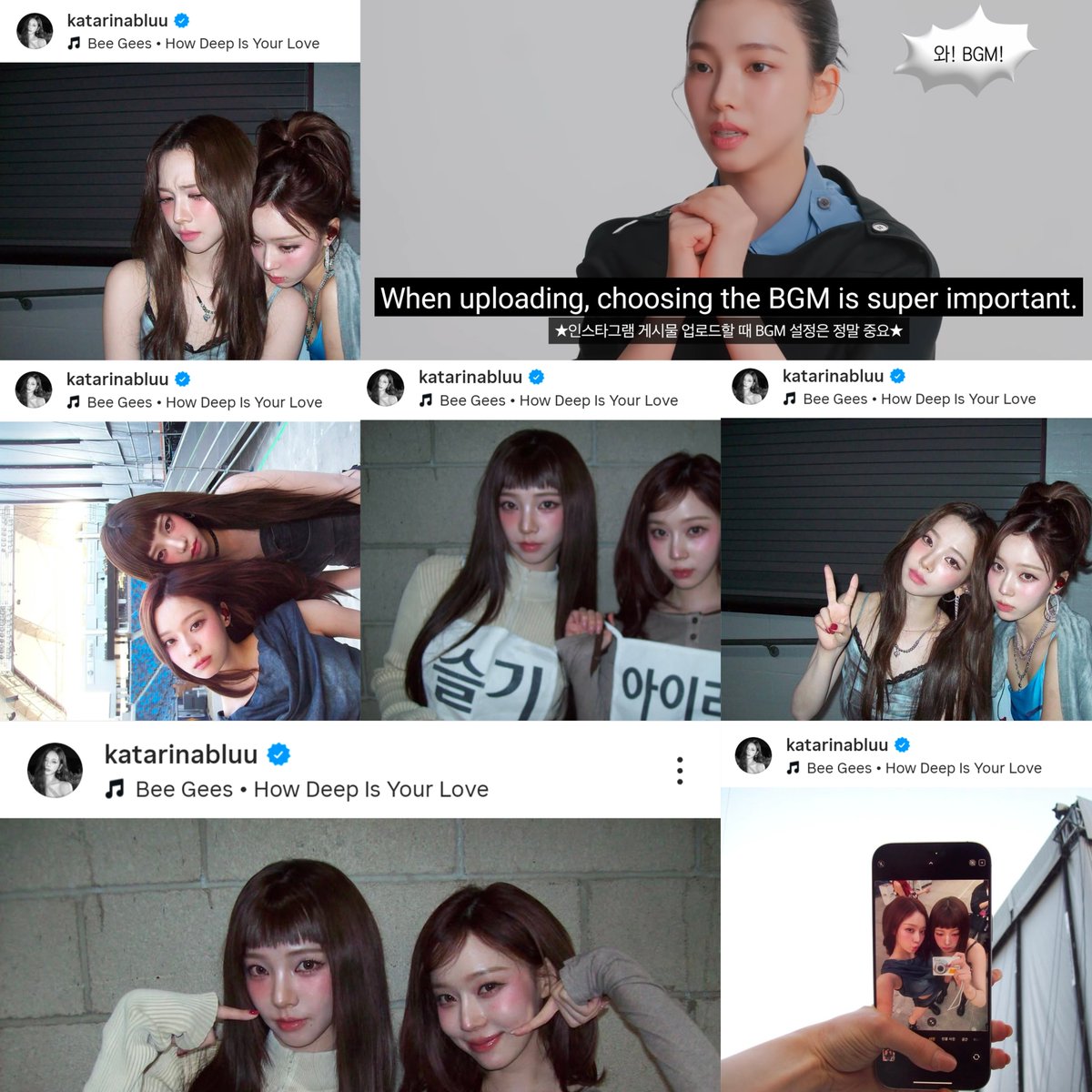 _bluustar's tweet image. ദ്ദി(˵ •̀ ᴗ - ˵ )