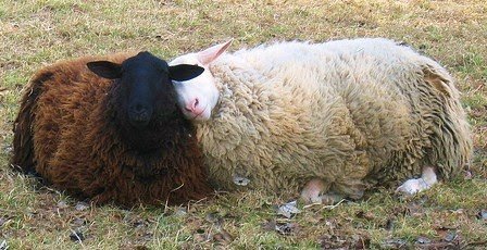 𓈒꒪ 𝄞 ‎𓊆ྀི Rudolph / Mo‎ 𓊇ྀ⎯ Molly's muse ❤︎ tweet media