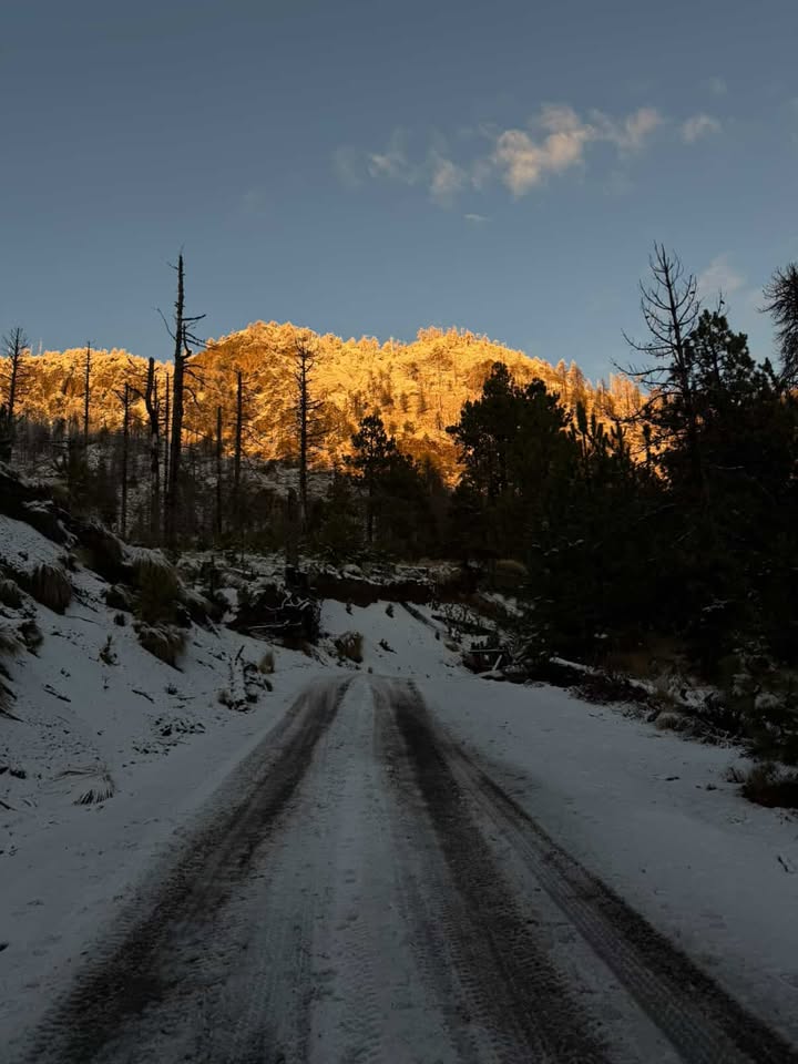 TráficoZMGuadalajara tweet media