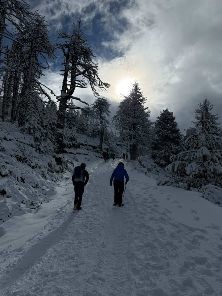 TráficoZMGuadalajara tweet media