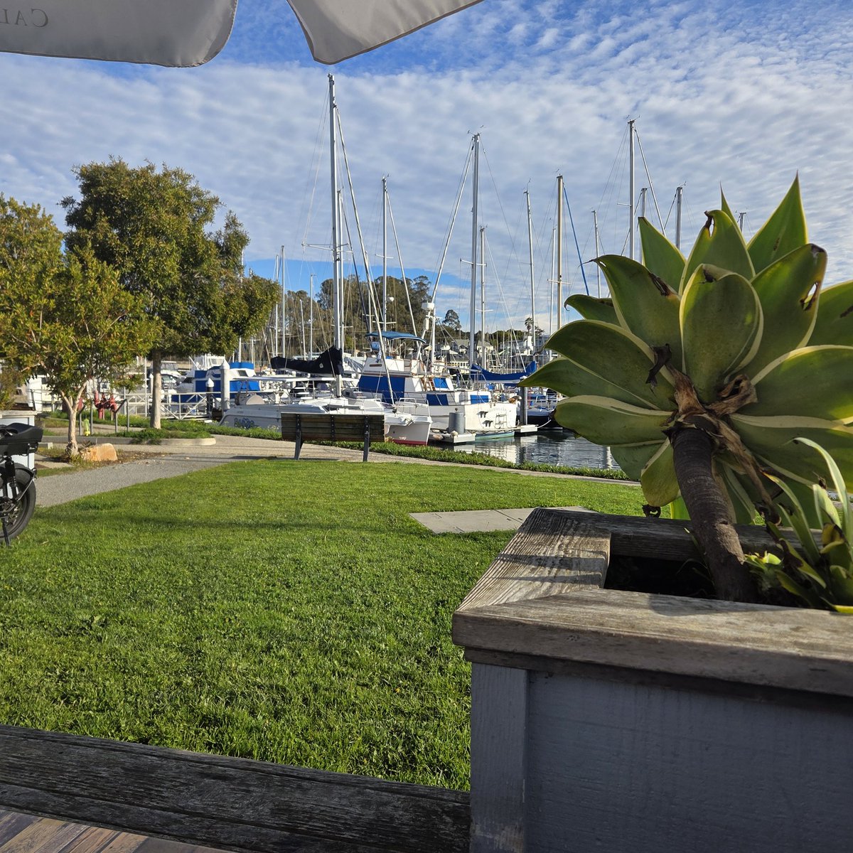 A gorgeous Santa Cruz day. In the Hellscape that is Calif.  On a side note, first day in almost 5yrs i feel normal..