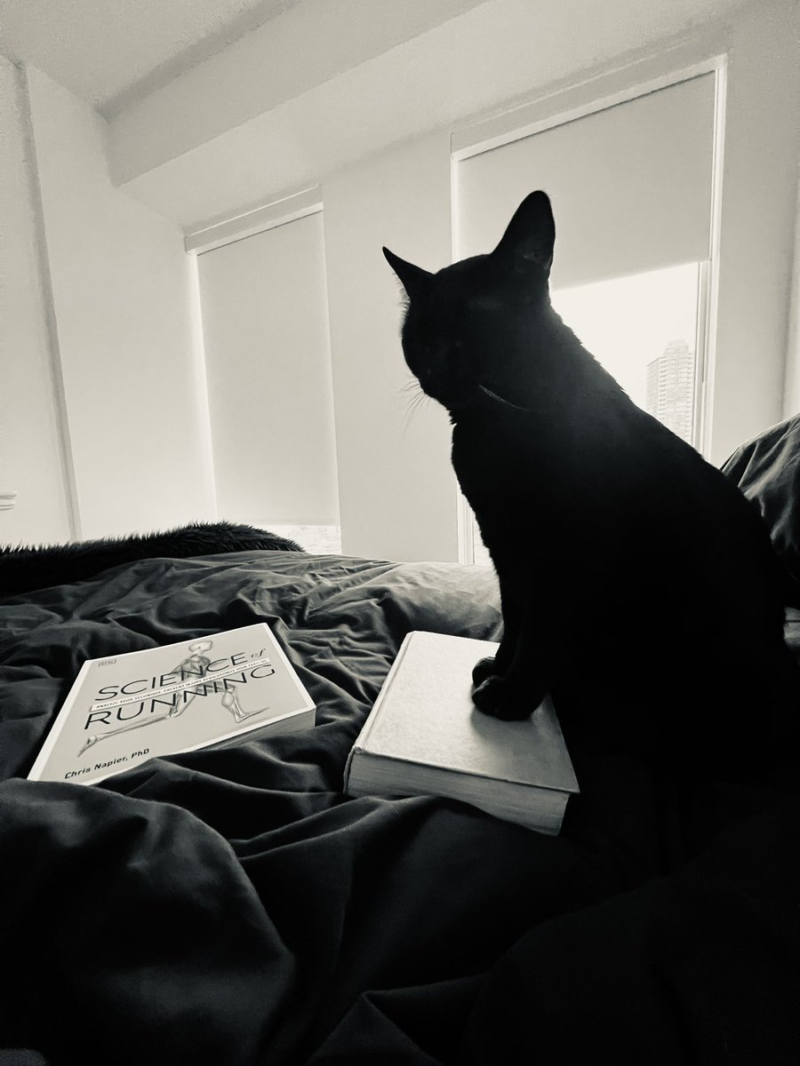 blabbit000's tweet image. All I need is my cat &amp;amp; my books 🥰