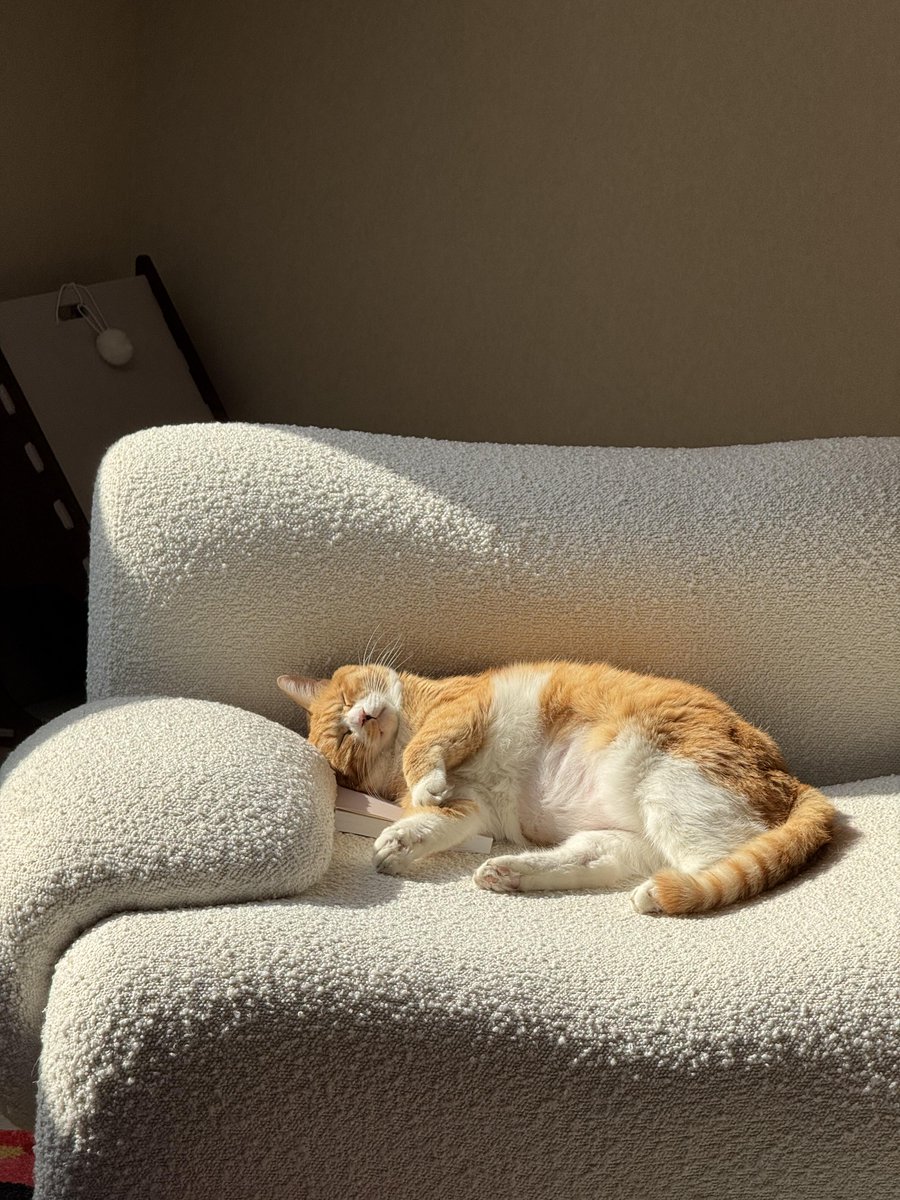 java_sugihadi's tweet image. Forever my baby 🐾🍼💗