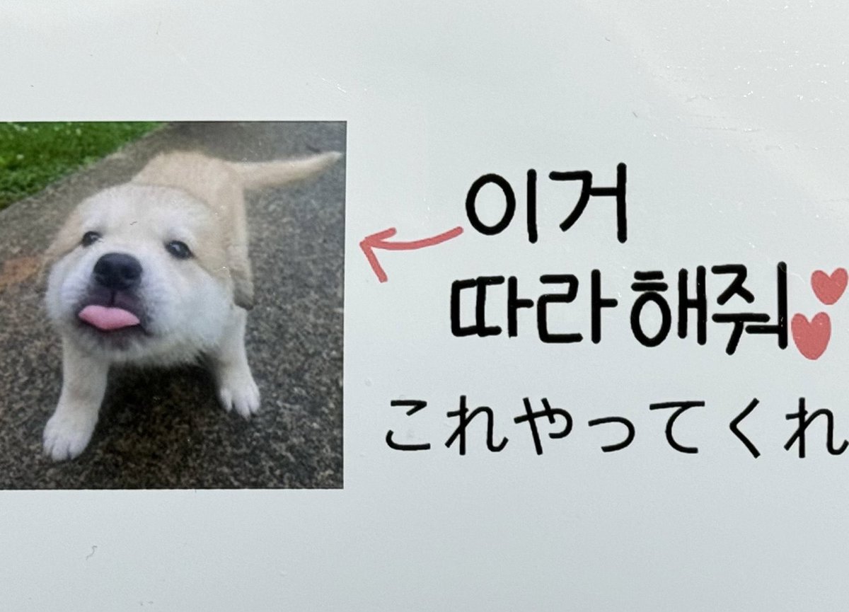 사키 tweet media