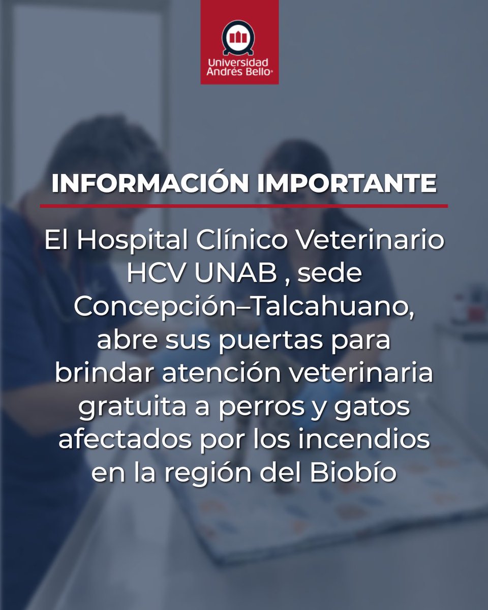 ATENCIÓN VETERINARIA POR INCENDIOS
El HOSPITAL CLÍNICO VETERINARIO HCV UNAB, sede Concepción–Talcahuano, está brindando atención veterinaria gratuita a perros y gatos afectados por los incendios.

La atención se realizará mediante CATEGORIZACIÓN DE TRIAGE, priorizando a los