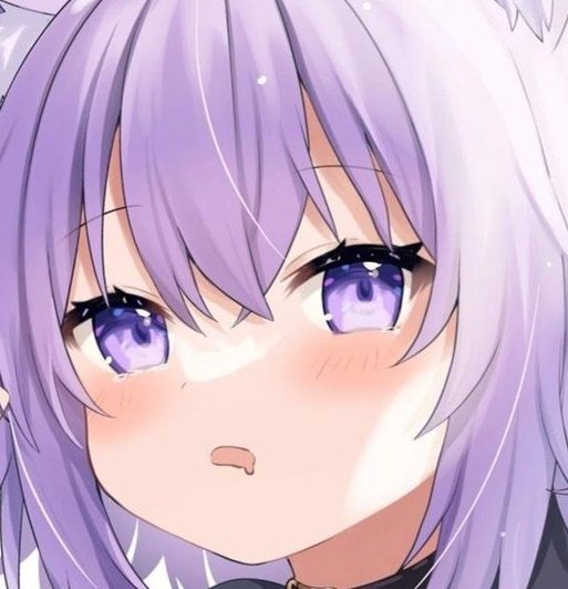 BaileyAustin's tweet image. 散歩終わってすごく余裕 🙄