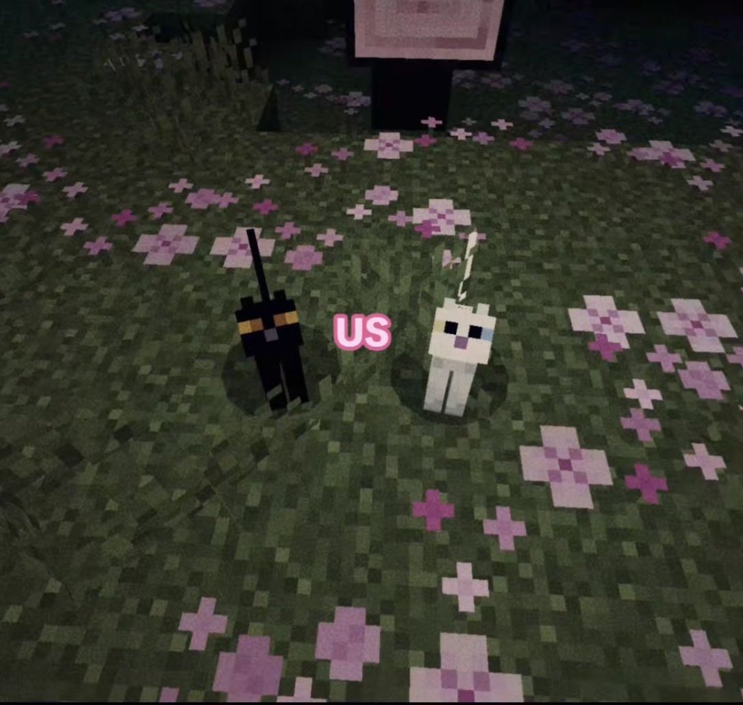 astralbaes's tweet image. 