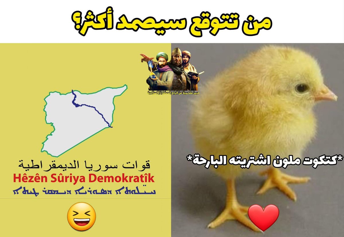 ميمز ملحمية عن قيام الحضارة الإسلامية tweet media