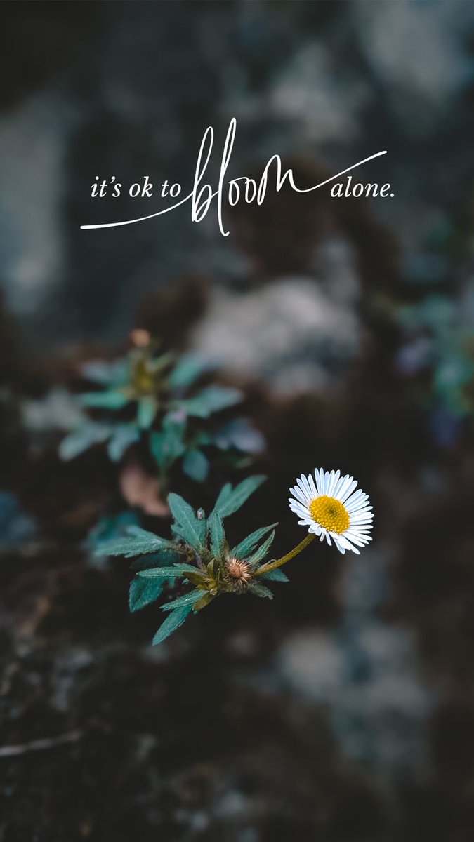 PositivitySaid's tweet image. 