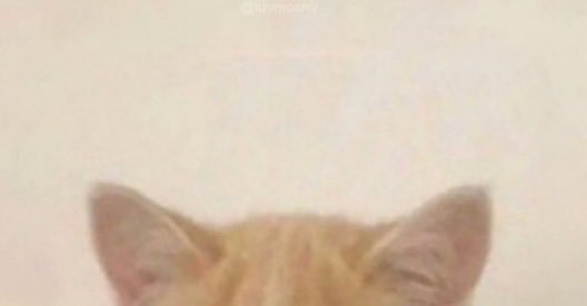 𝑭𝑶𝑳𝑳𝑶𝑾 𝑯𝒀𝑷𝑬 tweet media