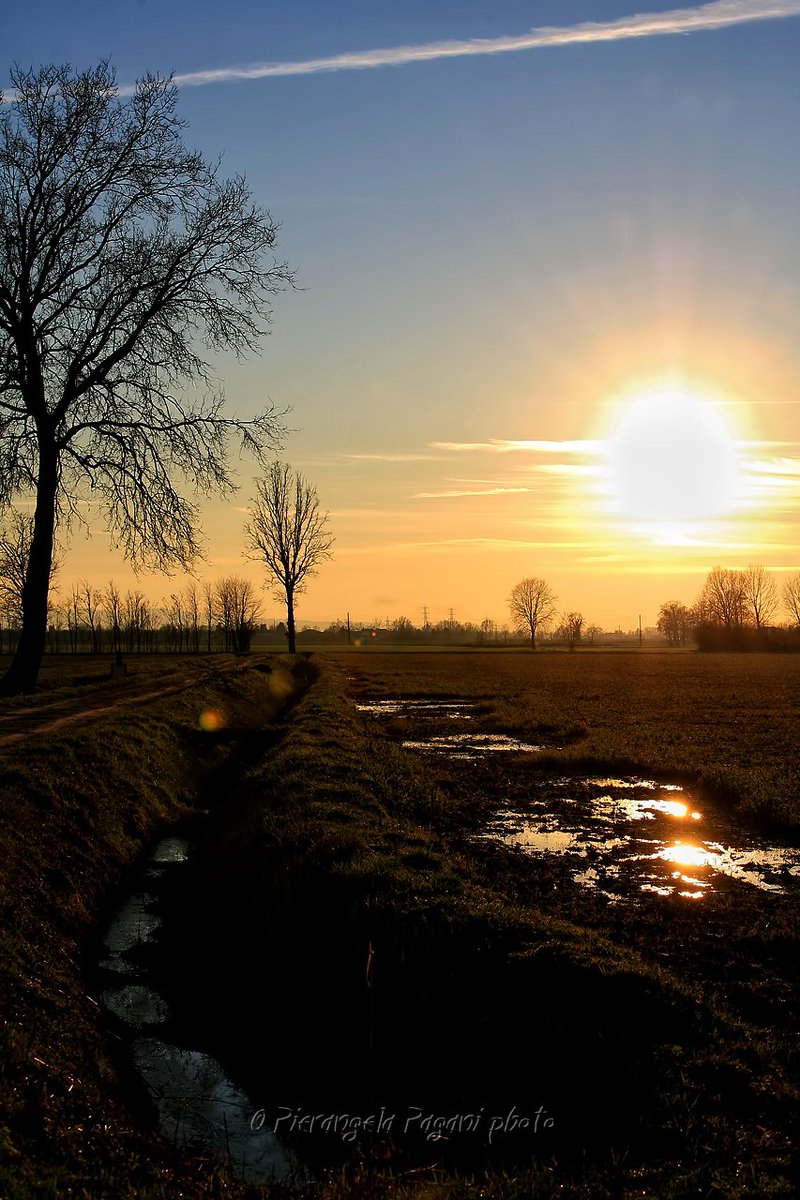 @ferrarisergio4 tweet media