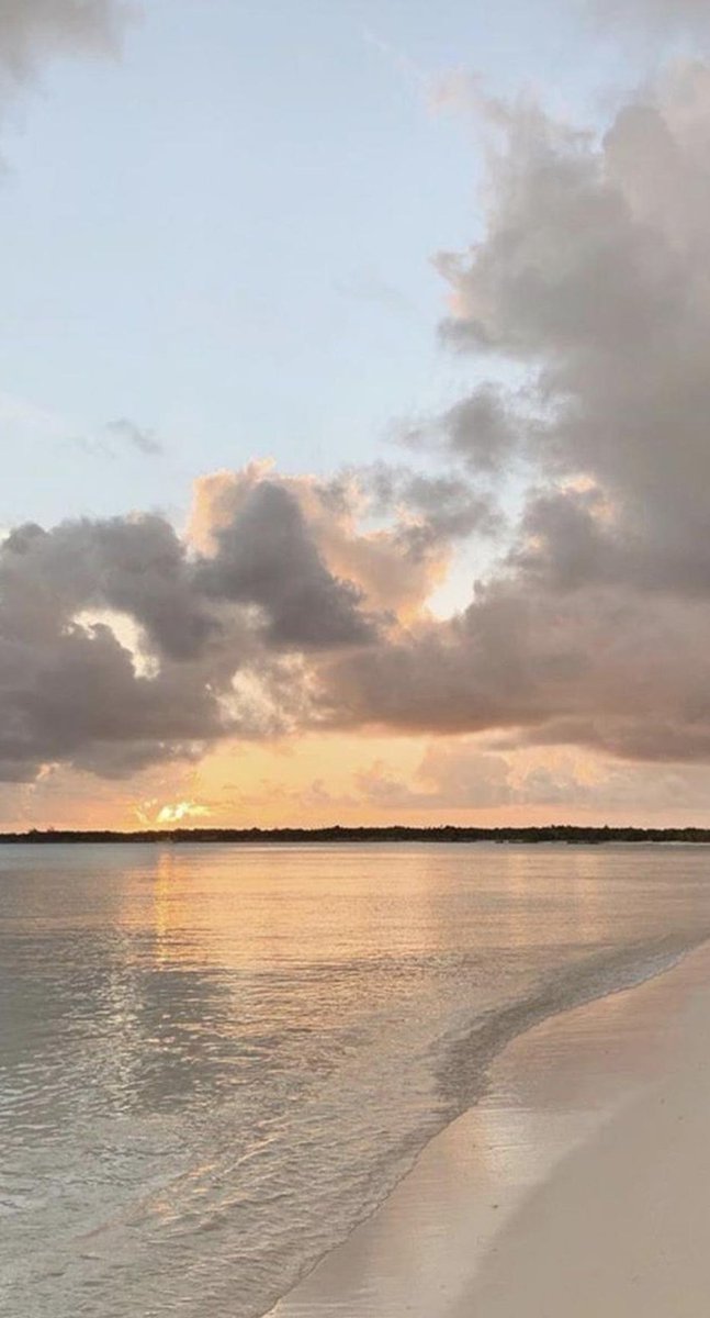 BHEAutiful's tweet image. よい一日を♫
デスクで作業中。
繰り返ししんどい 👮