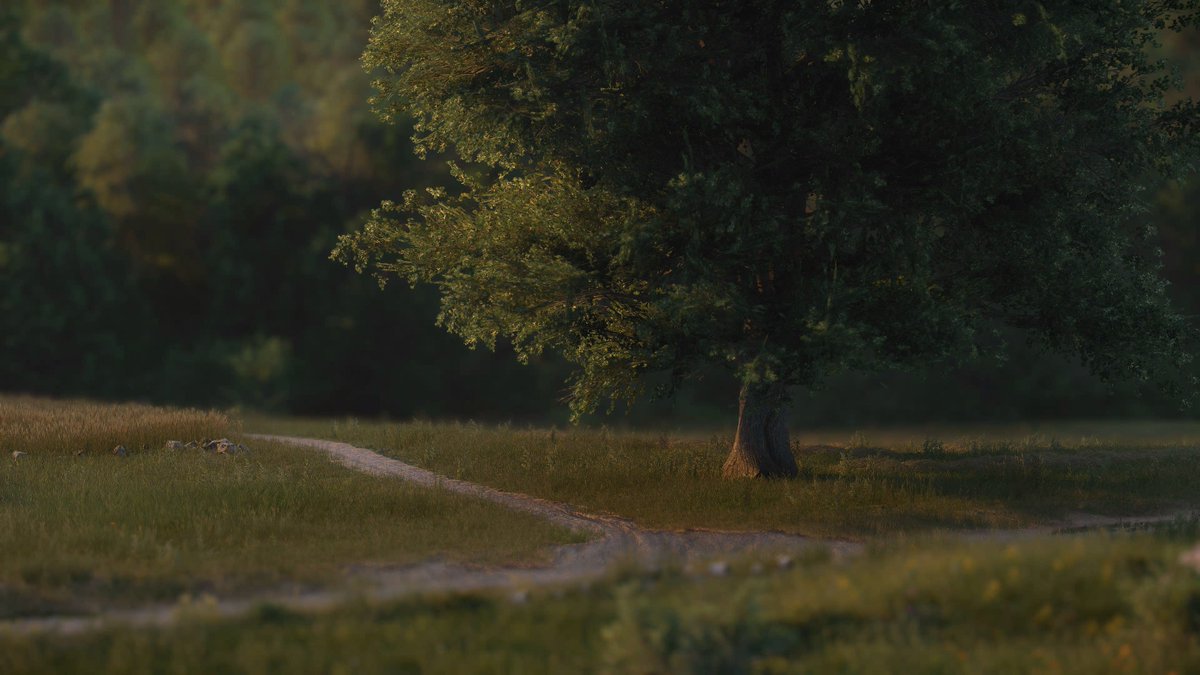 Disco 🌿🔦 tweet media