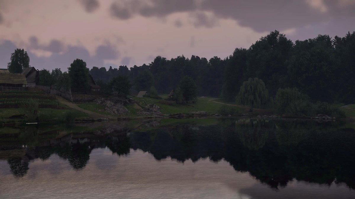 Disco 🌿🔦 tweet media