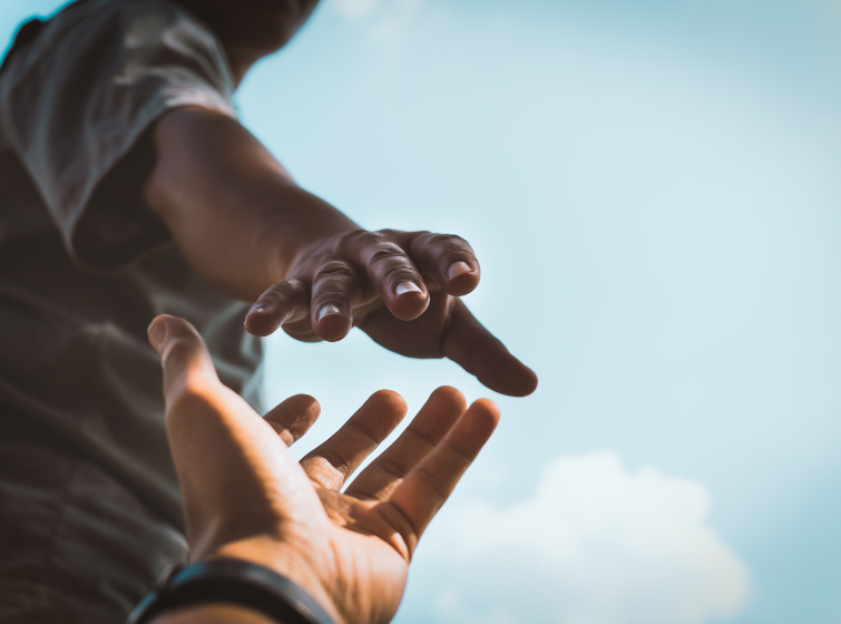 Southern Group of State Foresters tweet media