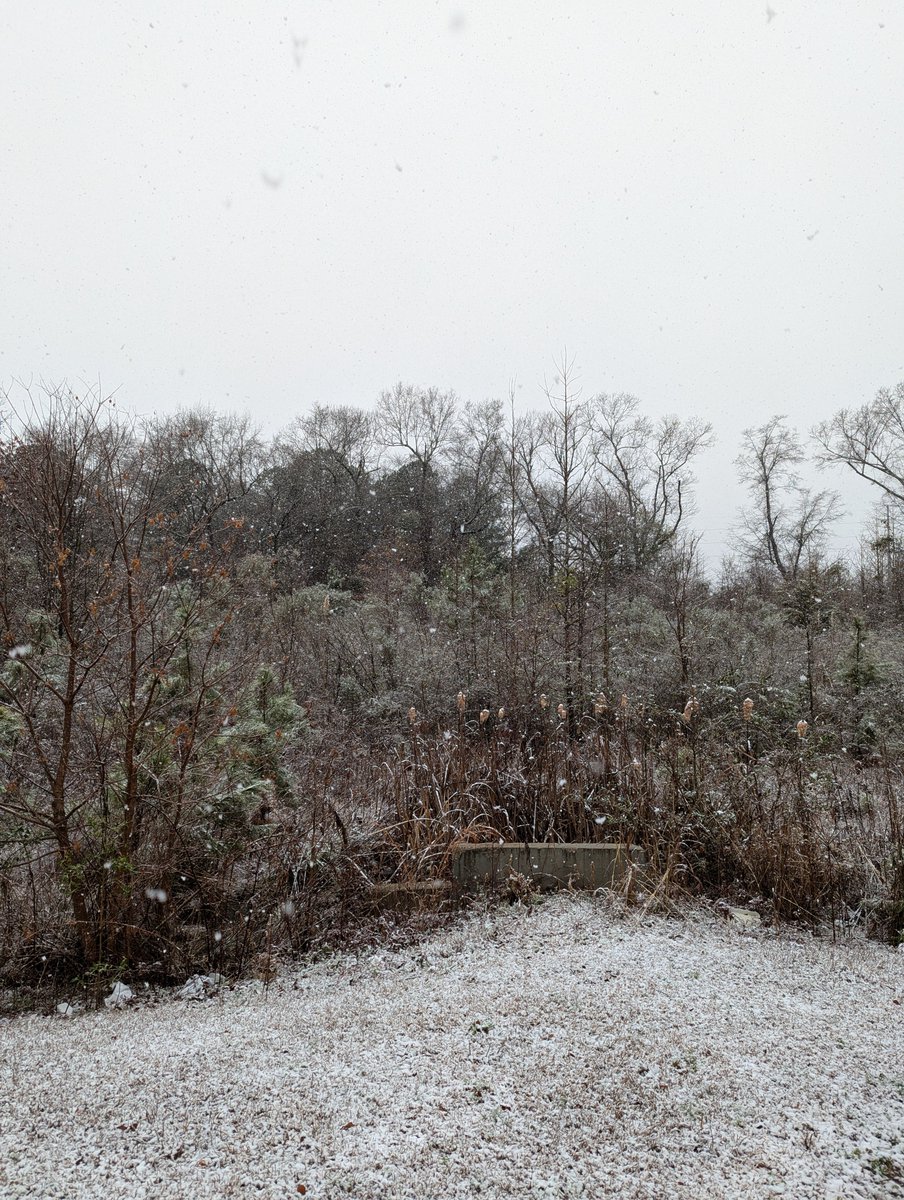 daphneanna95's tweet photo. Pics from my chase and a video from when it changed to snow at home. https://t.co/4cR5pxhqVx