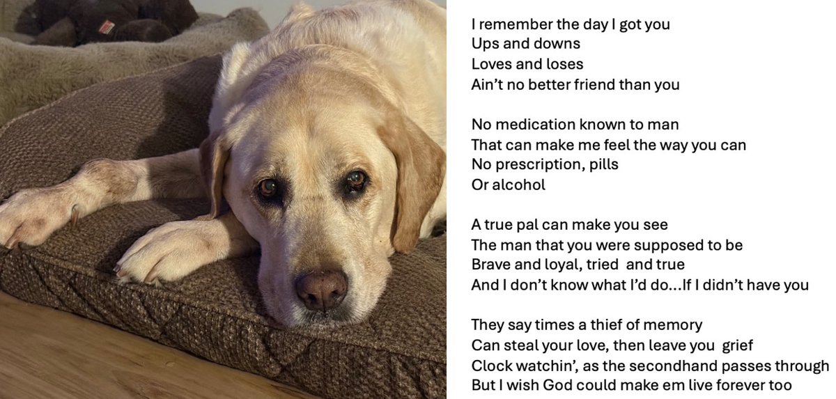 Anthony Donskov, PhD tweet media