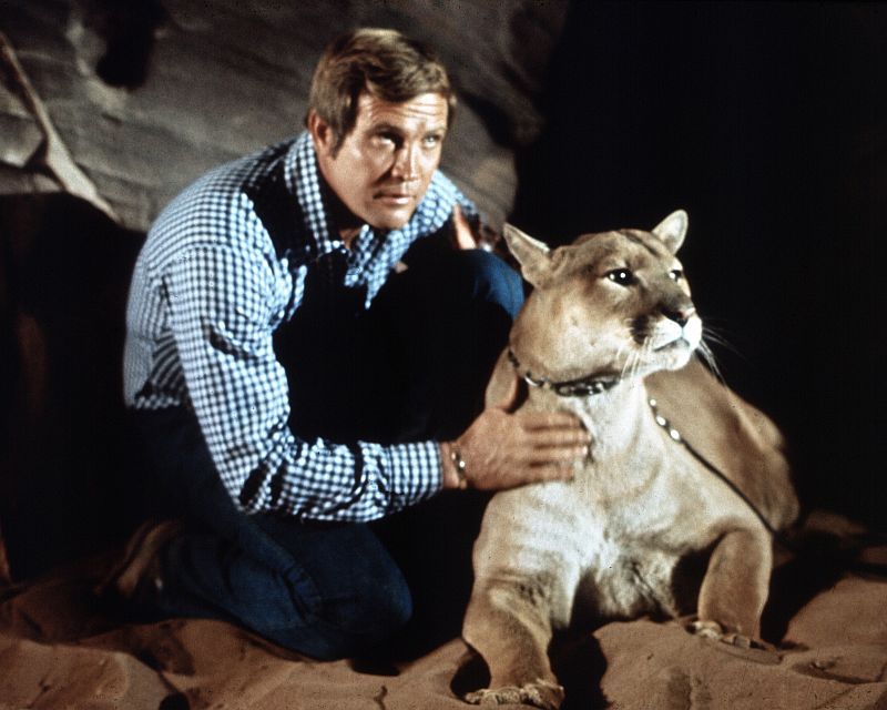 Hollywood Yesterday✨ tweet media