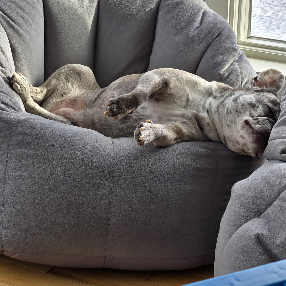 <a href="/EllaQueenofSol/">EllaQueenofSol</a>, Recovery Mode From Friday And Saturday 😆 🤣 😂!!!Hopefully Your Enjoying Your Sunday!!!
CF5VehjuZvxZZQFP5tybGra6ts574FAwt6Z7GuX9pump