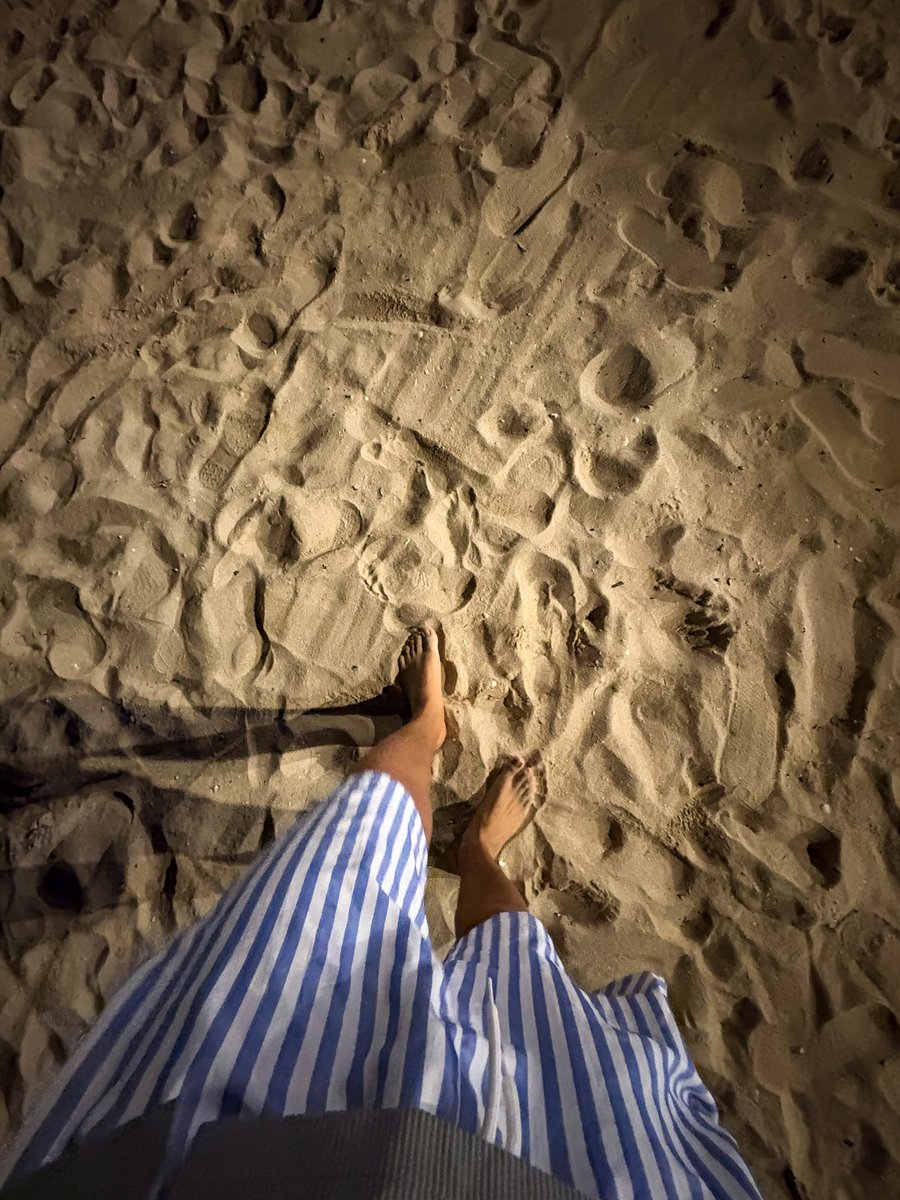 JaramilloJunio's tweet photo. Entre arena, brisa y buena energía 🌊🌴
Así se vive mejor.
#JaJaJaramillo #BeachLife #LifestyleMX #VibraAlta https://t.co/Jxwp7Y6g5q