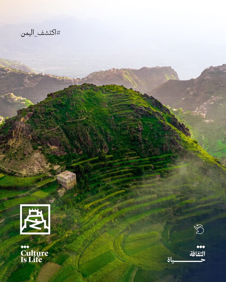 Bin-Moallim | محمد بن معلّم 🩺 tweet media