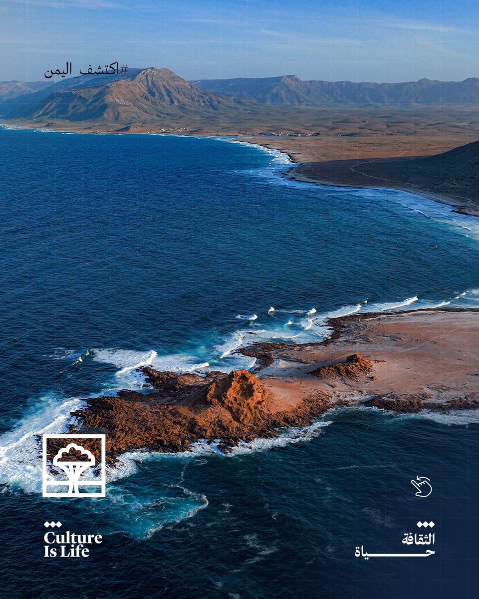 Bin-Moallim | محمد بن معلّم 🩺 tweet media