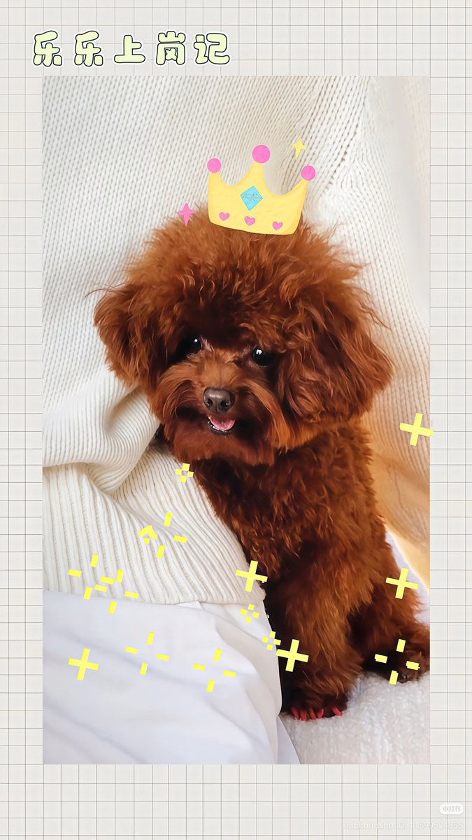 whisperer, blue mischief... tweet media