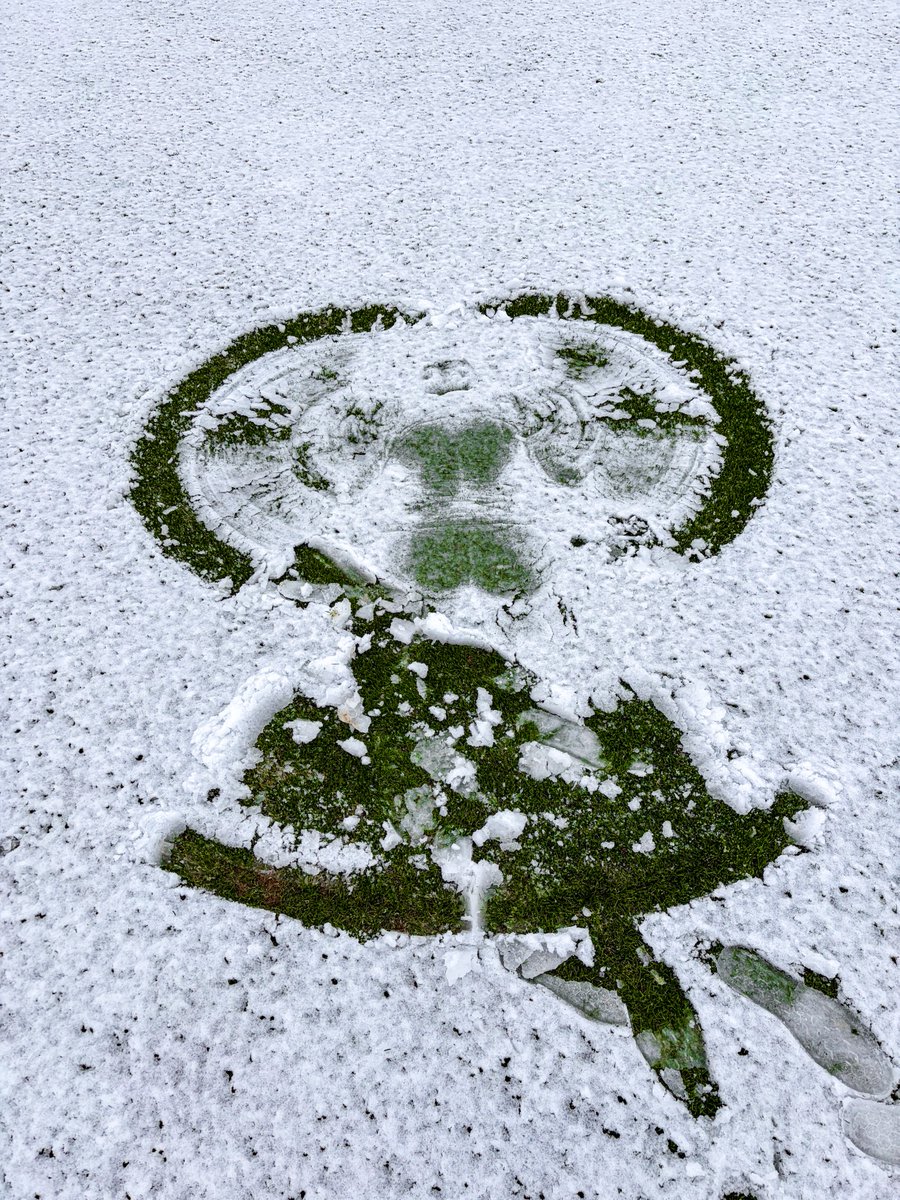 Mercer Baseball tweet media